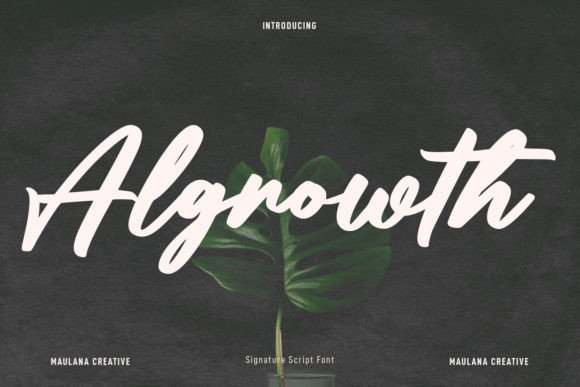 Algrowth: A Bold Script Font for Polished Branding