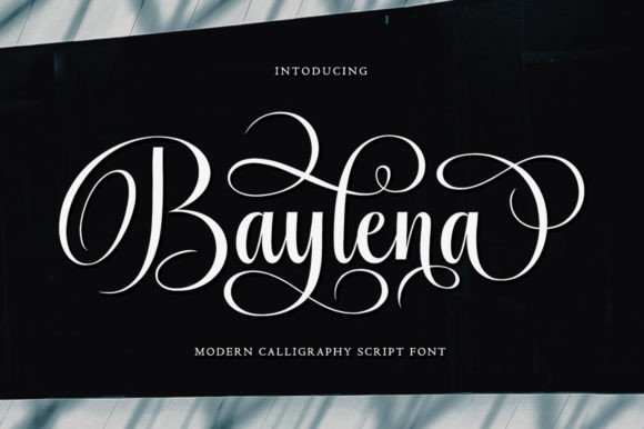 Baylena: A Stylish Script Font for Modern Web Design